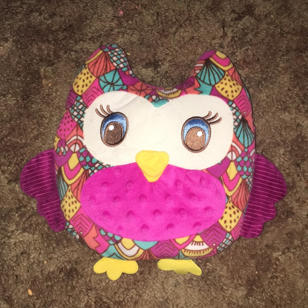 Girl Scouts 100 Year Celebration Owl